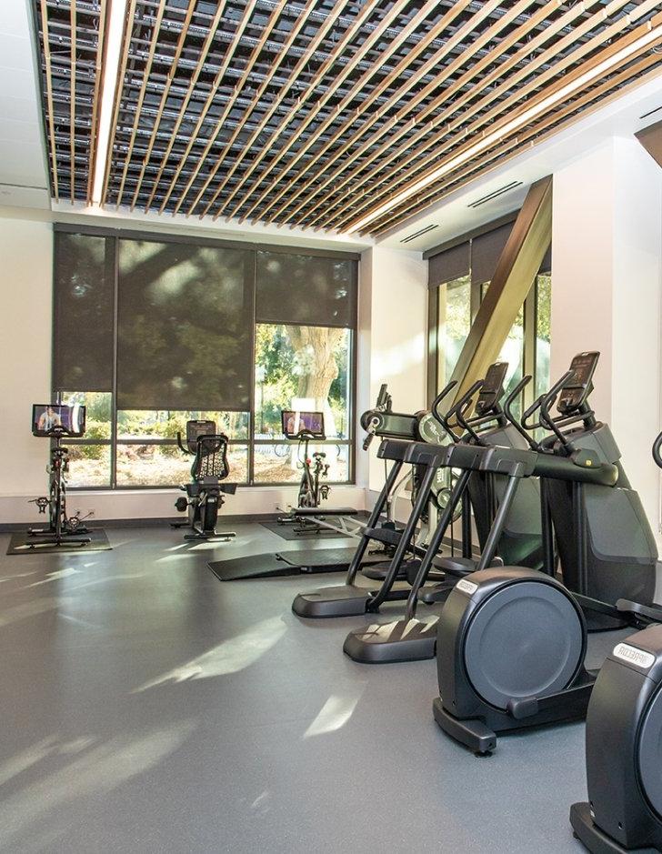 Elliptical Machines in the Center for Athletics, Recreation, and Wellness' Draper Fitness Center